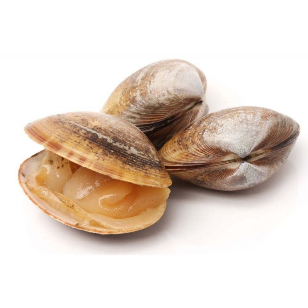 [694682] Palourde d'Élevage Grande 500g