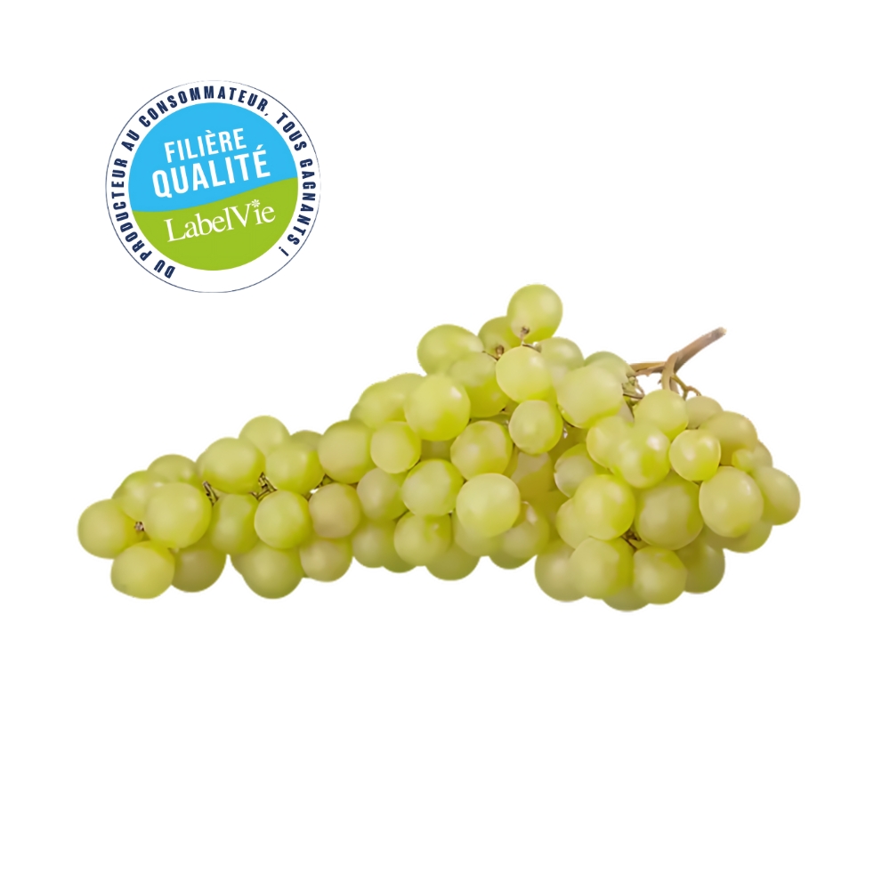 [706656] Raisin Senisla au Kg - Filière Qualité