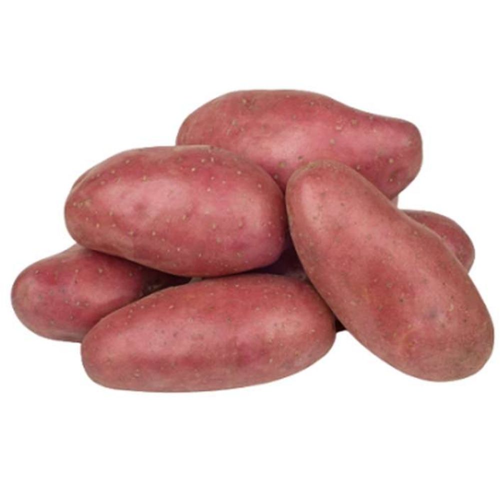 [634918] Pomme de Terre Sautée Rouge Gros Calibre Filet 500g