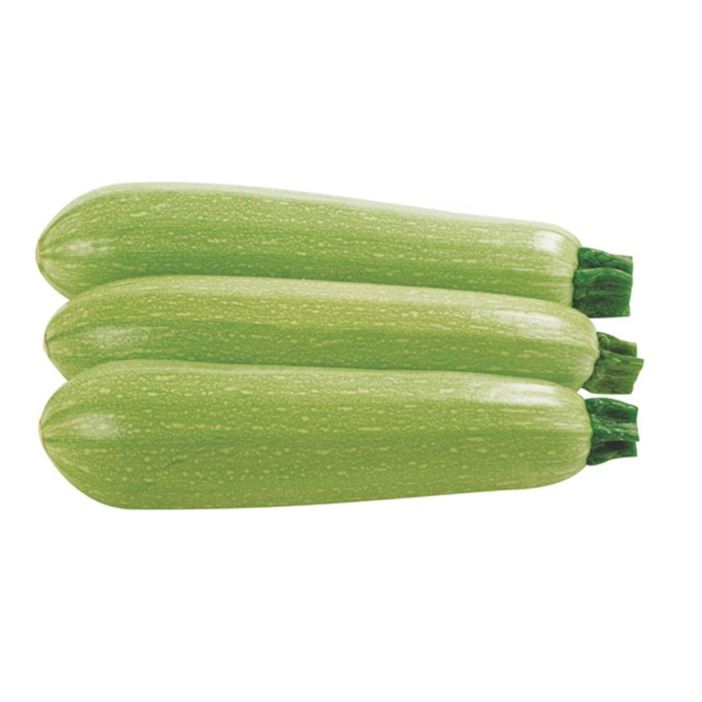 [163620] Courgette Blanche 500g