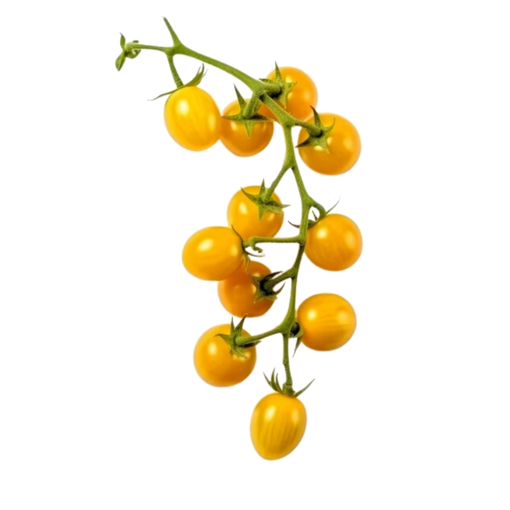 [718967] Tomate Cerise Cocktail Clémentine 200g