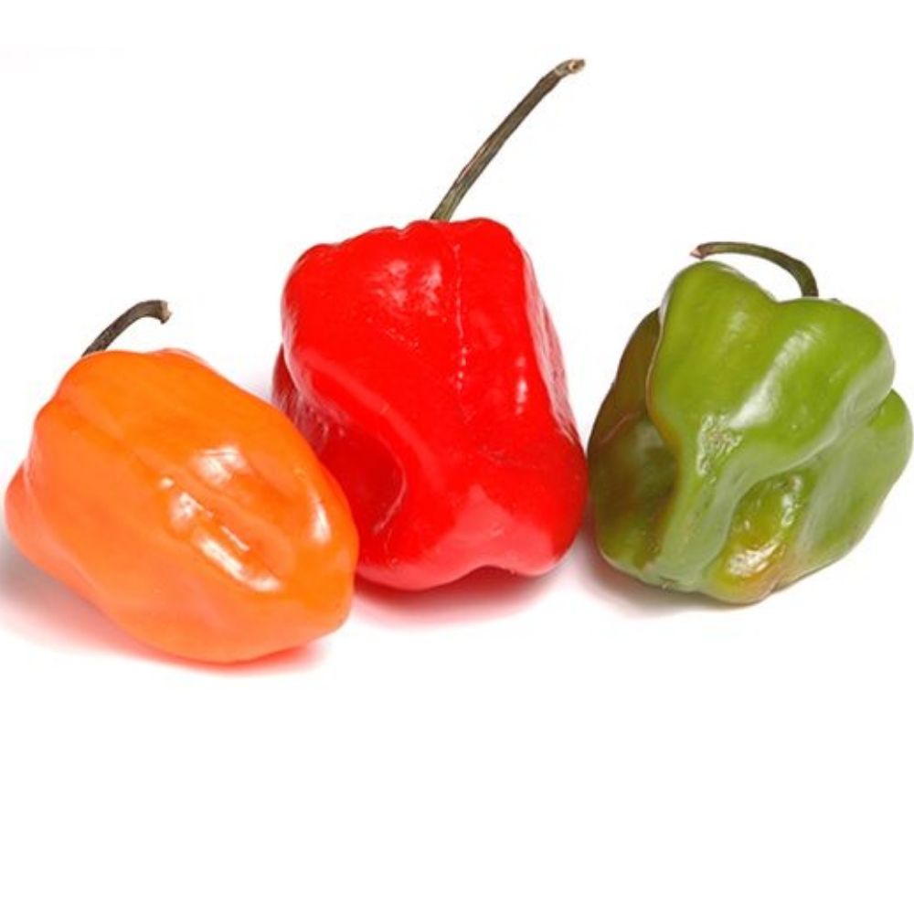 Piment Habanero en Barquette250g