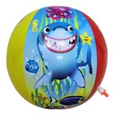 Ballon de Plage Gonflable 60 cm