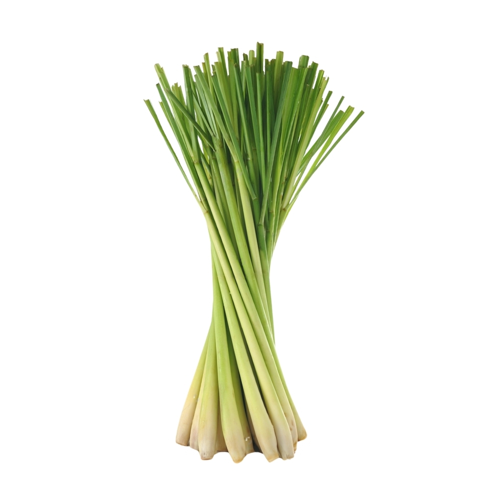 Citronnelle Bâton 250g
