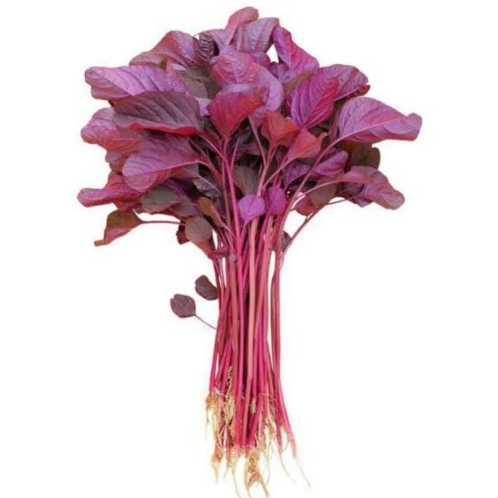 [691346] Arroche Rouge à la Pièce