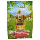 Croquettes Active au Bœuf pour Chiens adultes Friskies 3kg