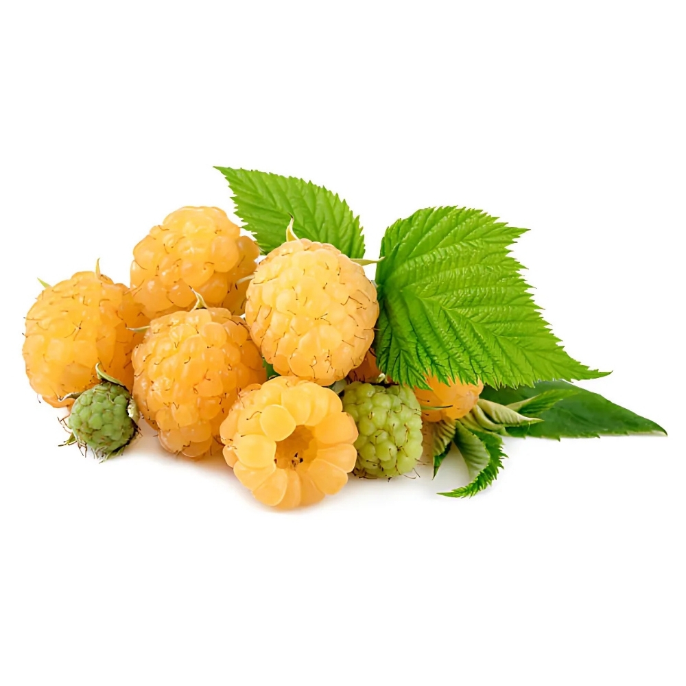 [574674] Framboise Jaune 250g
