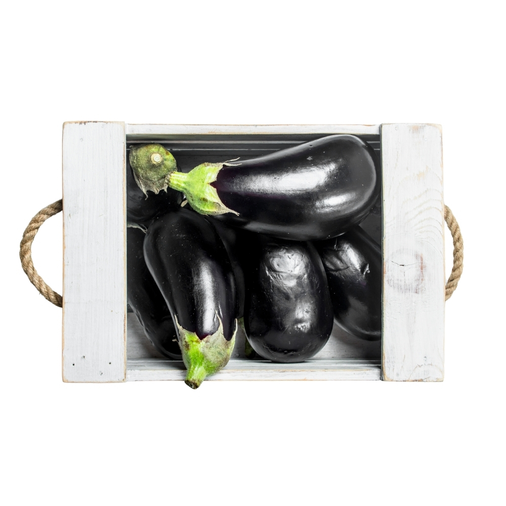 [579731] Aubergine Barquette 1 unité