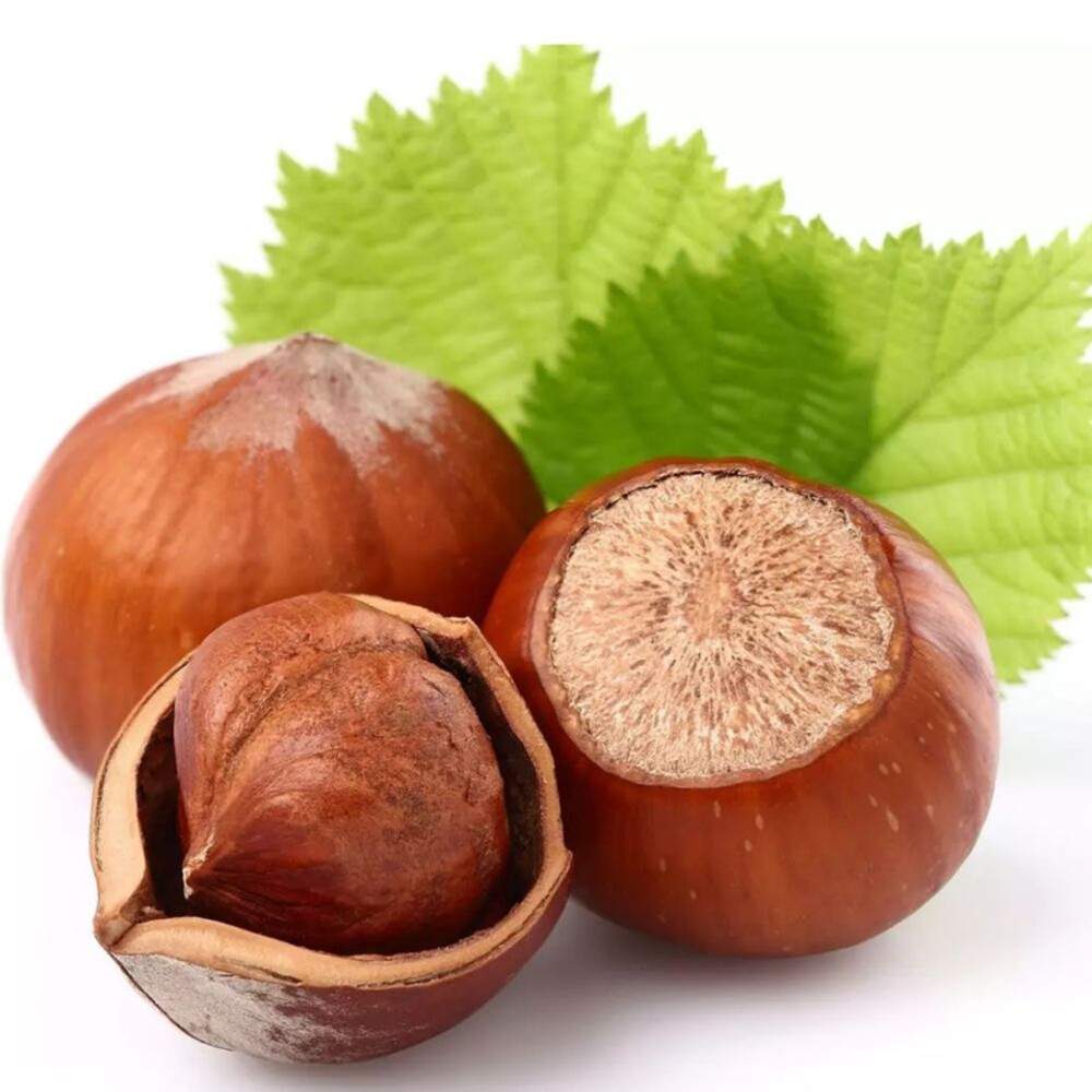 Noisette 500g