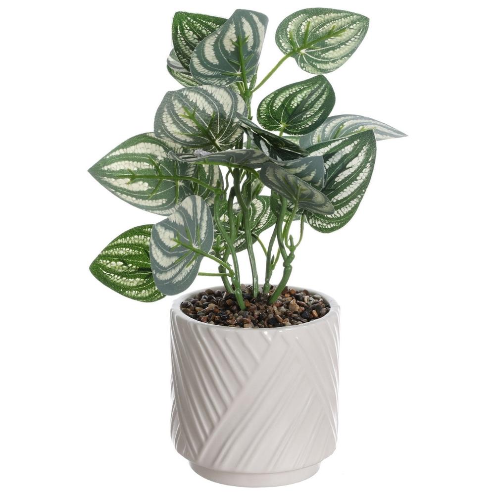 Plante Artificielle avec Pot Blanc Structure Kasa 25 cm