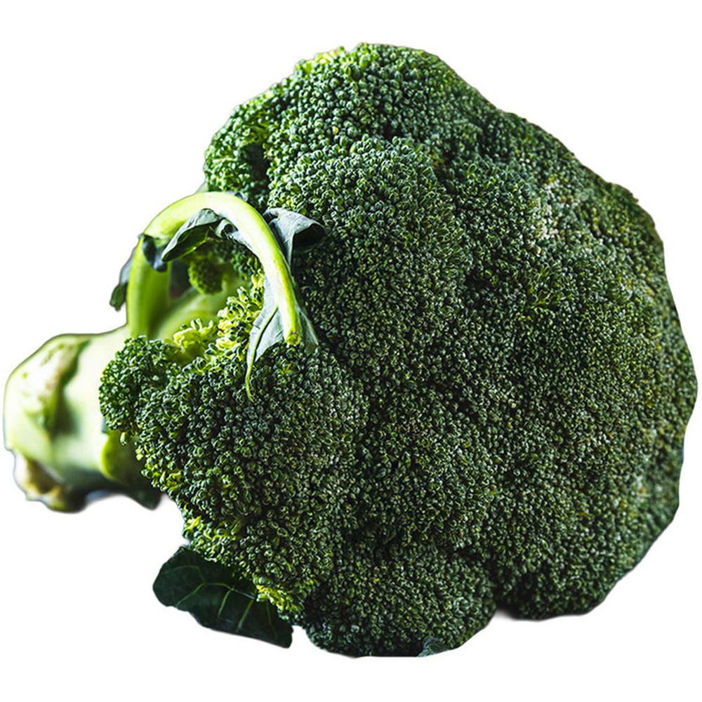 [15058] Brocoli 500g.