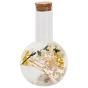 Globe Fleurs Séchées avec Couvercle Liège Kasa 10x17 cm