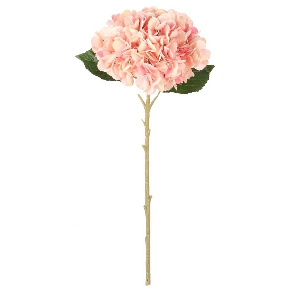 Tige d'Hortensia Rose Kasa 51 cm