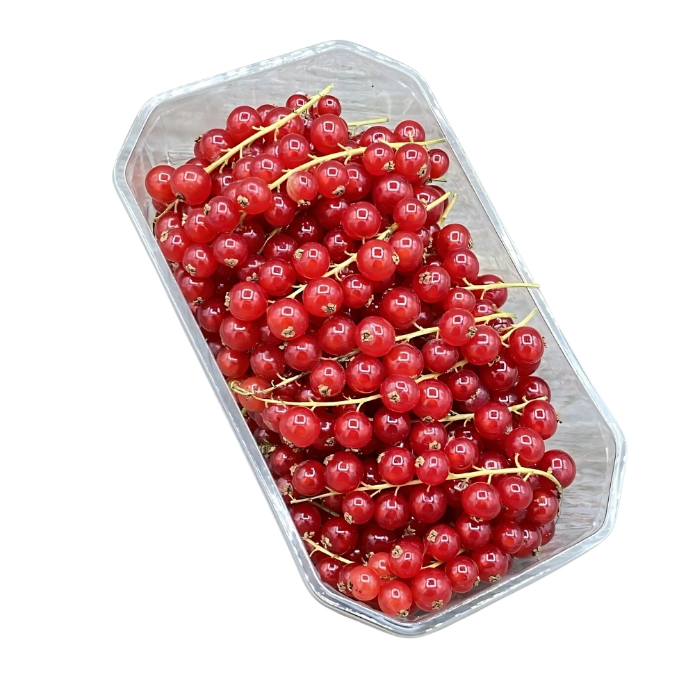 [227008] Groseilles Barquette 1 pièce