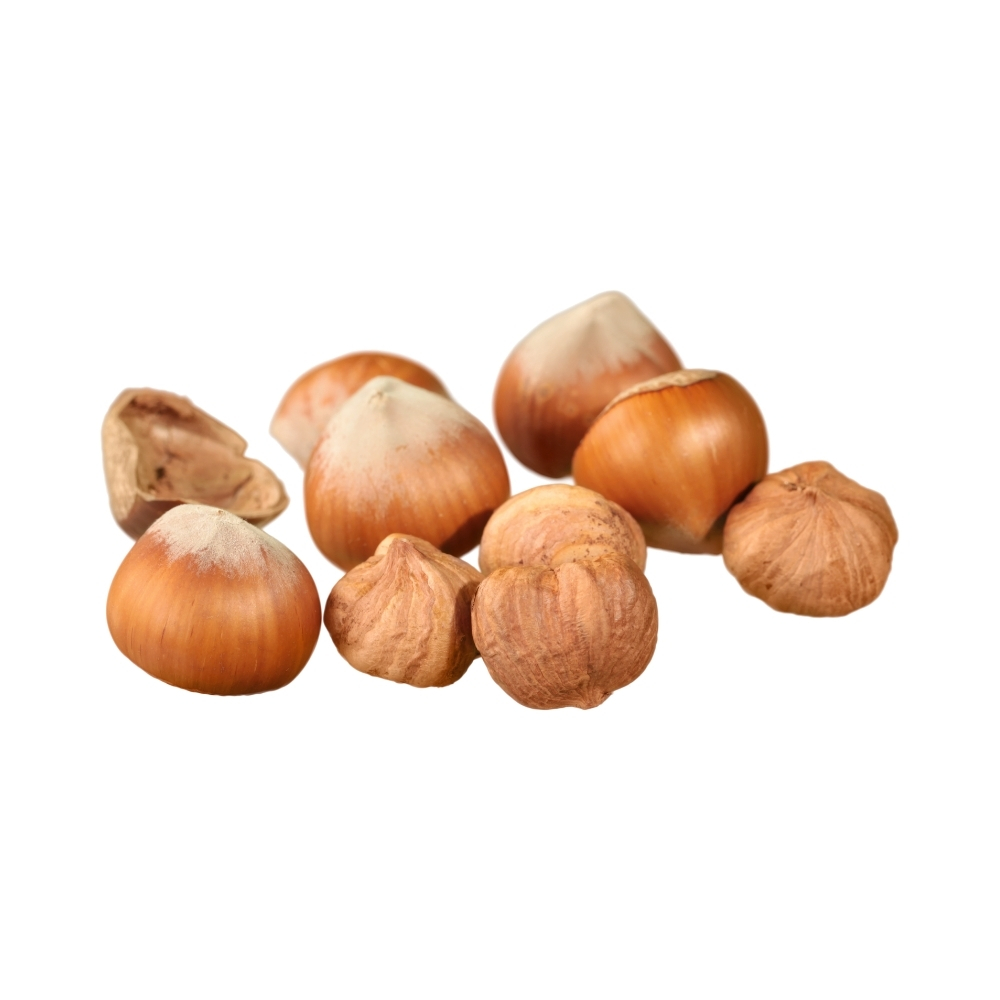 [704542] Noisettes Bio 11-13 % de Gras 250g.