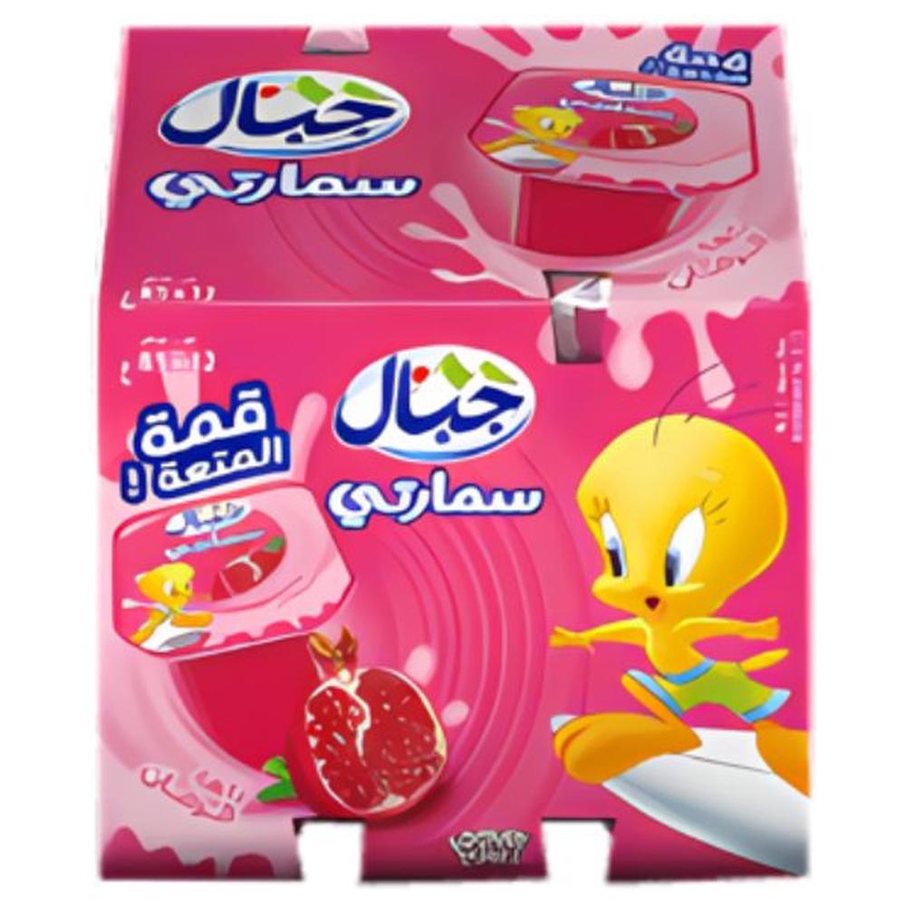 [681343] Raibi Grenadine Smarty Jibal 12x85g.