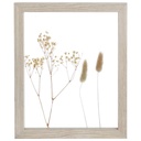 Cadre Décoratif Rect Fleurs Séchées Kasa 22x27 cm