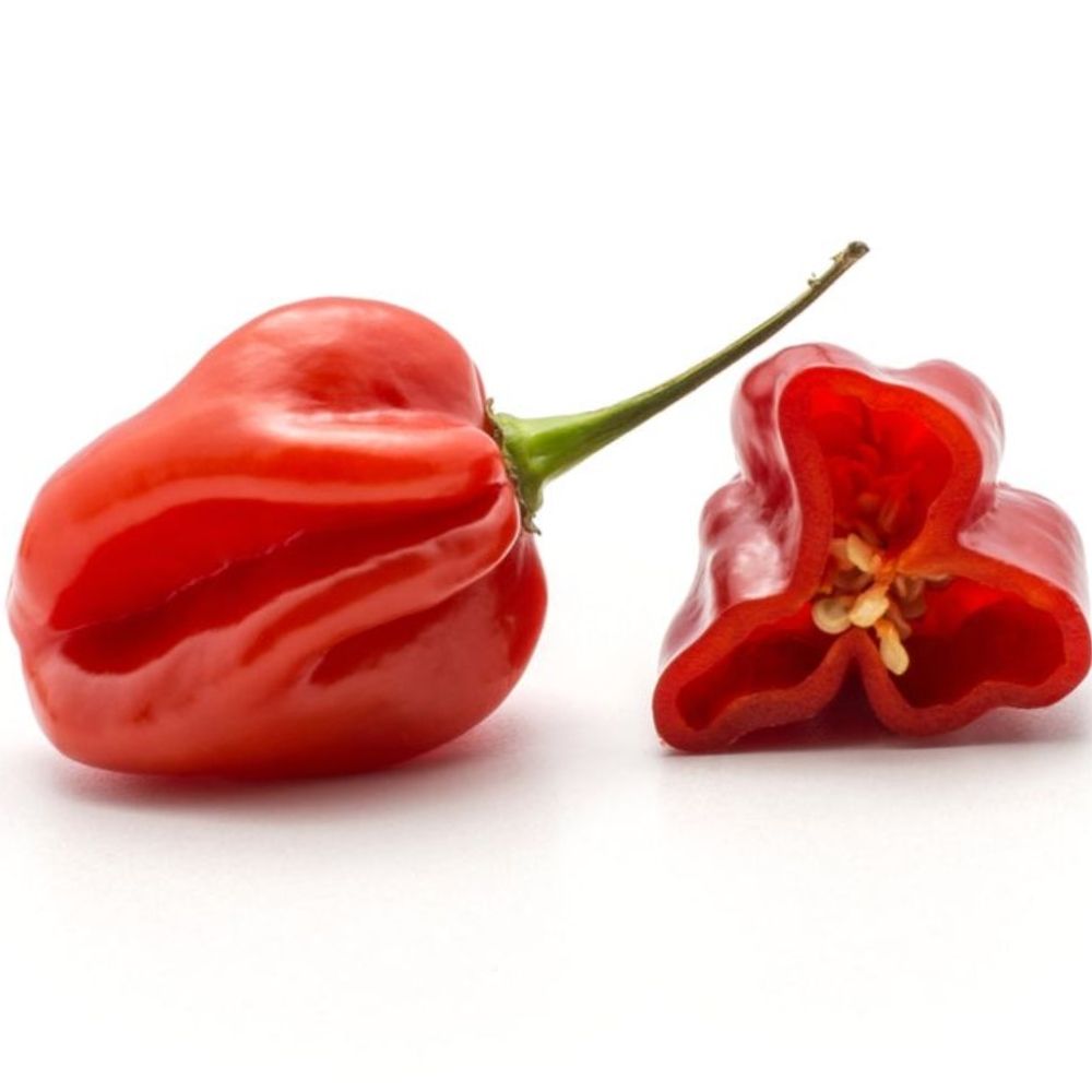 Poivre Habanero 180g