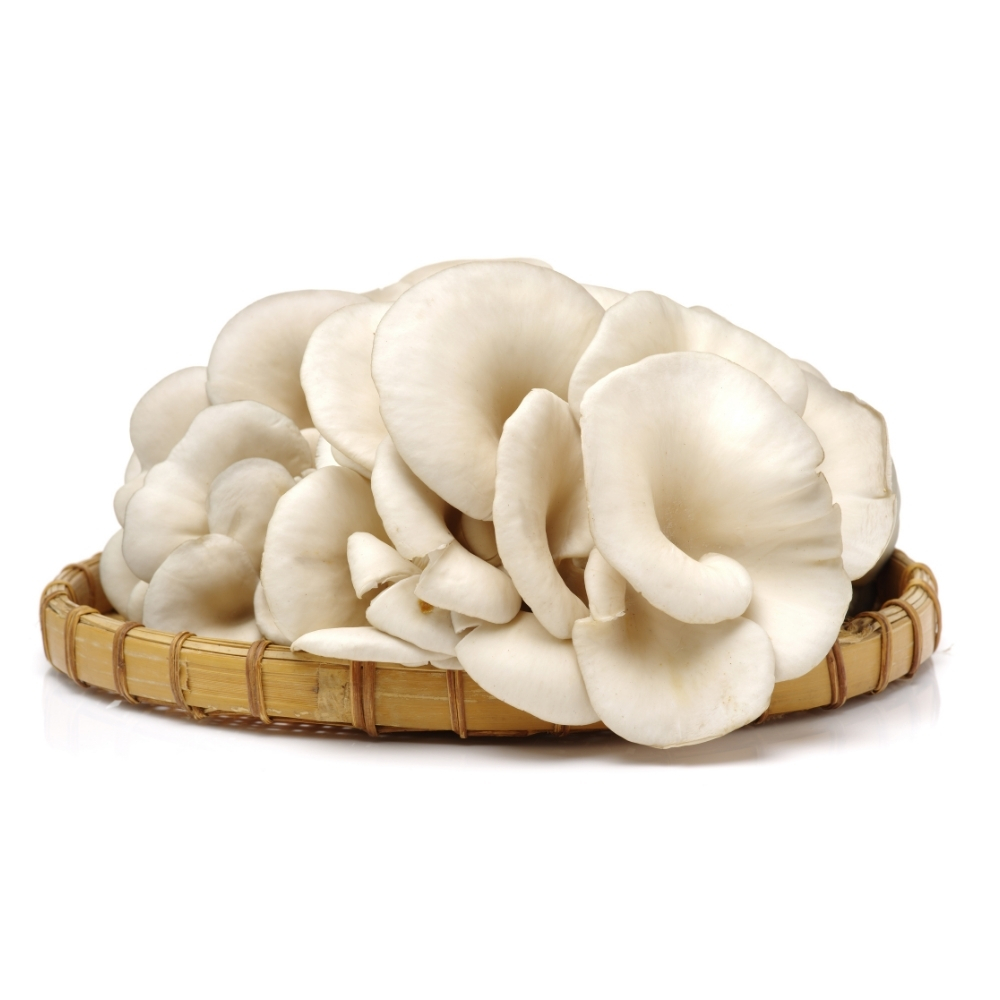 [700874] Champignon Pleurote Entier 250g