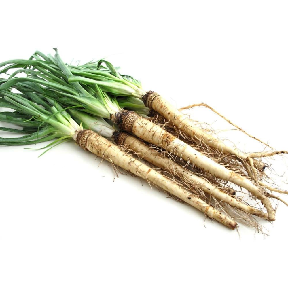Salsifis 250g