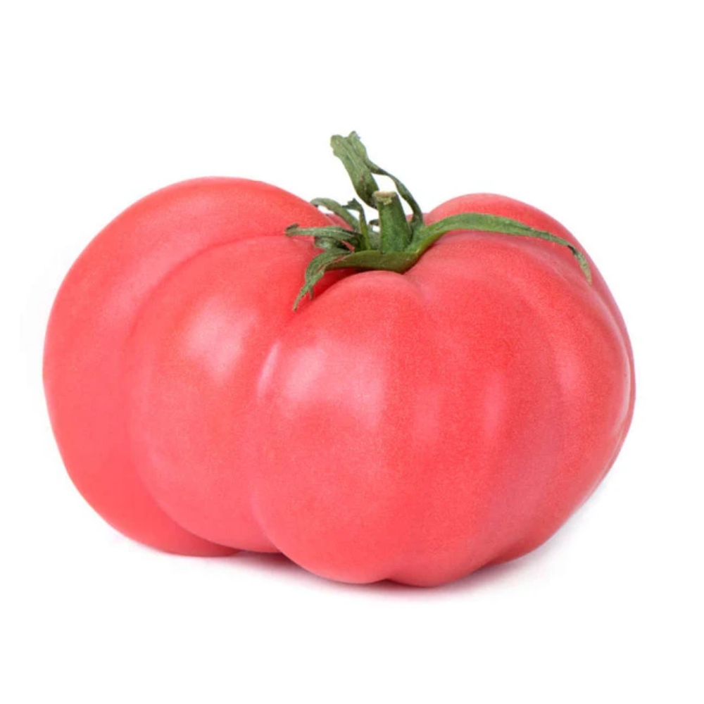 [620021] Tomate Brandywine Rose 500g