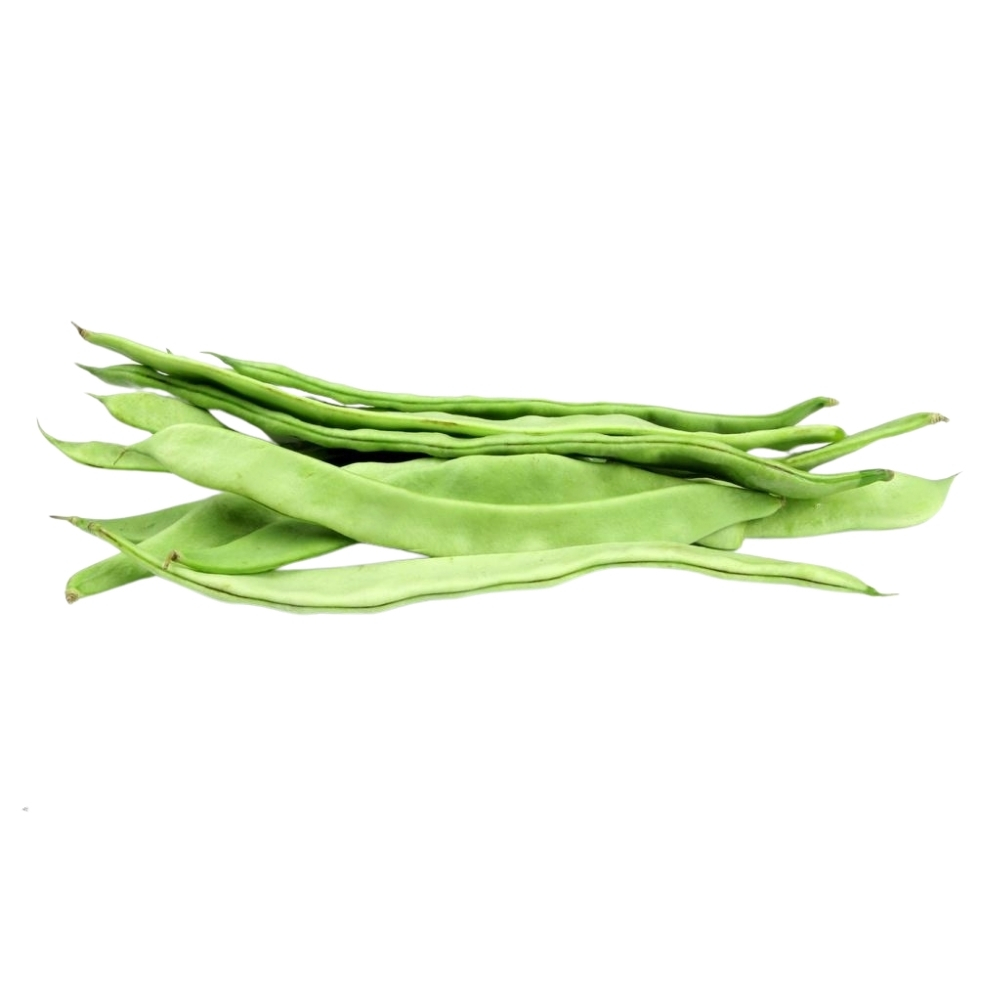 Haricot Plat 500g