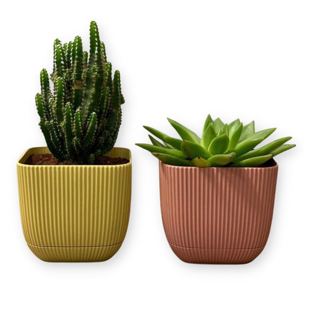 Pot de Fleur en Plastique Carré 67 CL