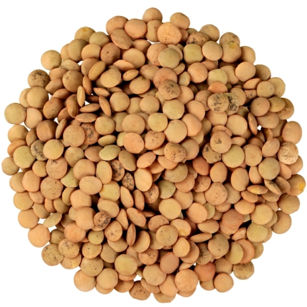 [596749] Lentilles Normales 500g
