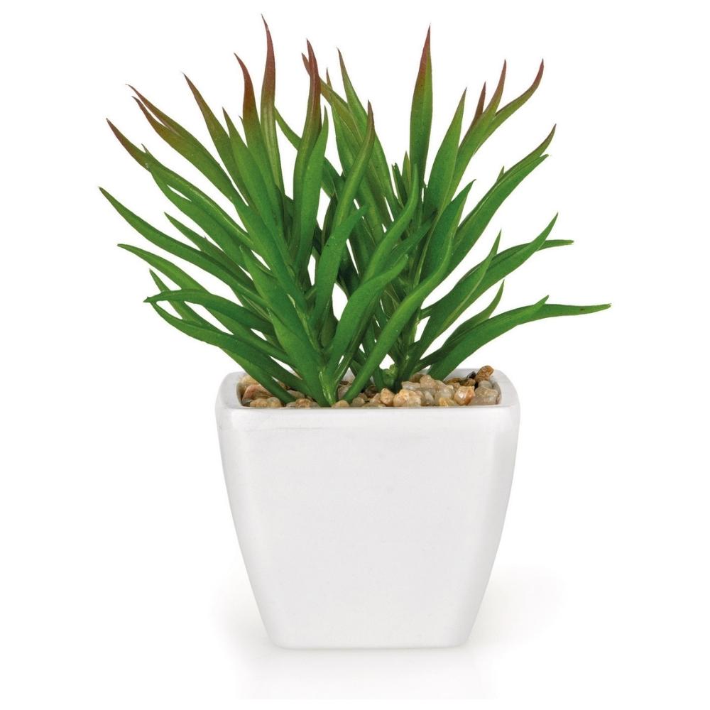 Plante Artificielle avec Pot Plastique Kasa 6 cm