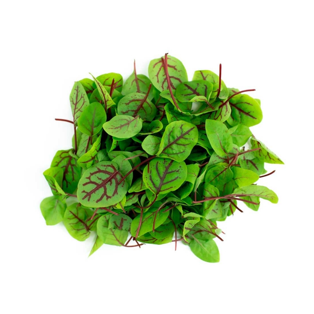 Oseille Sanguine 250g