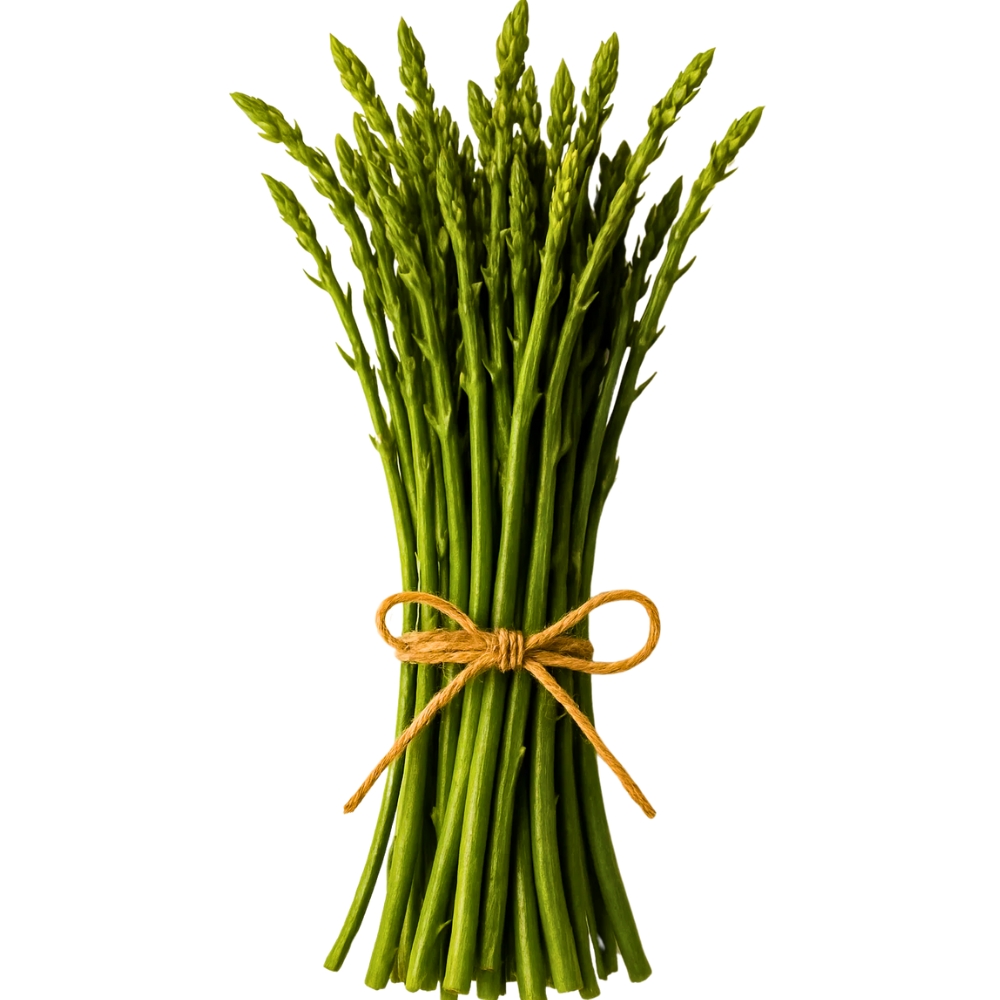 [642766] Asperges Sauvages En Botte 50g