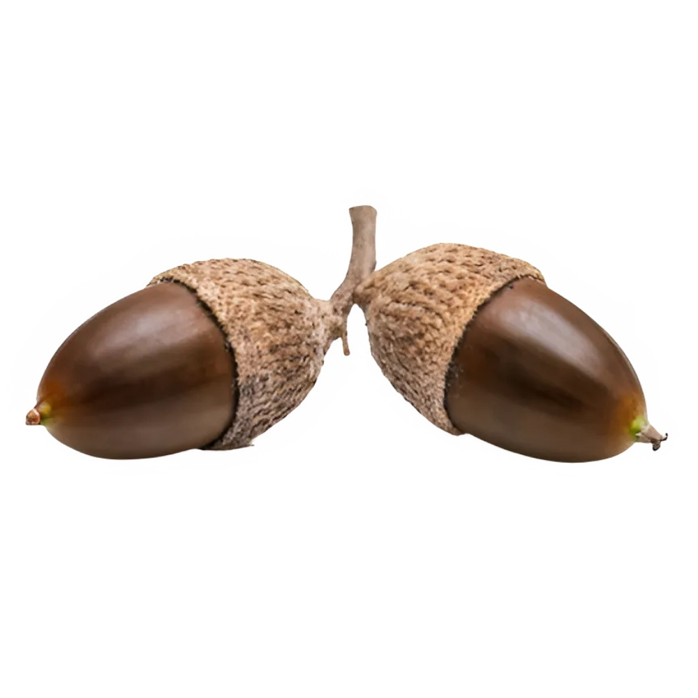 [624248] Gland Bellote 500g