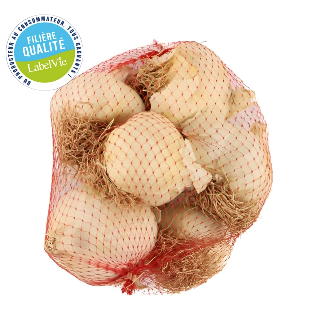 [722129] Ail Filet 500g - Filière Qualité
