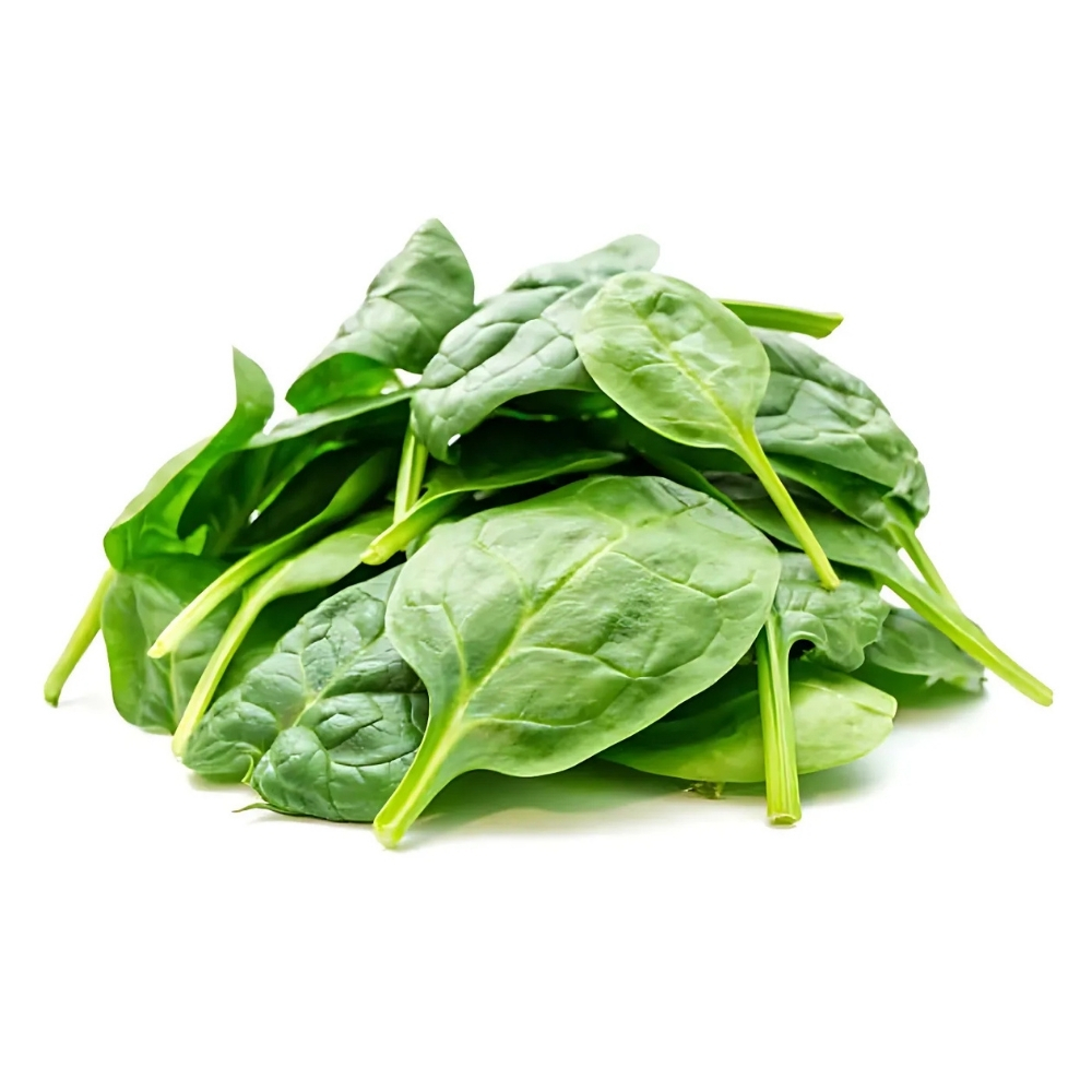 Pousses d'Épinards 125g