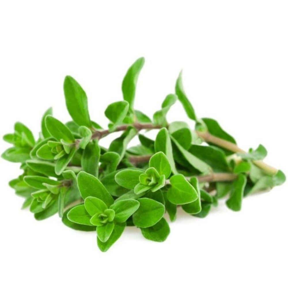 Marjolaine 25g