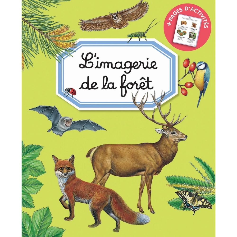 [510916] L'Imagerie de La Forêt