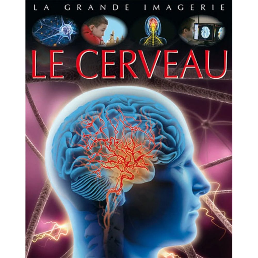[639534] la Grande Imagerie : Le Cerveau