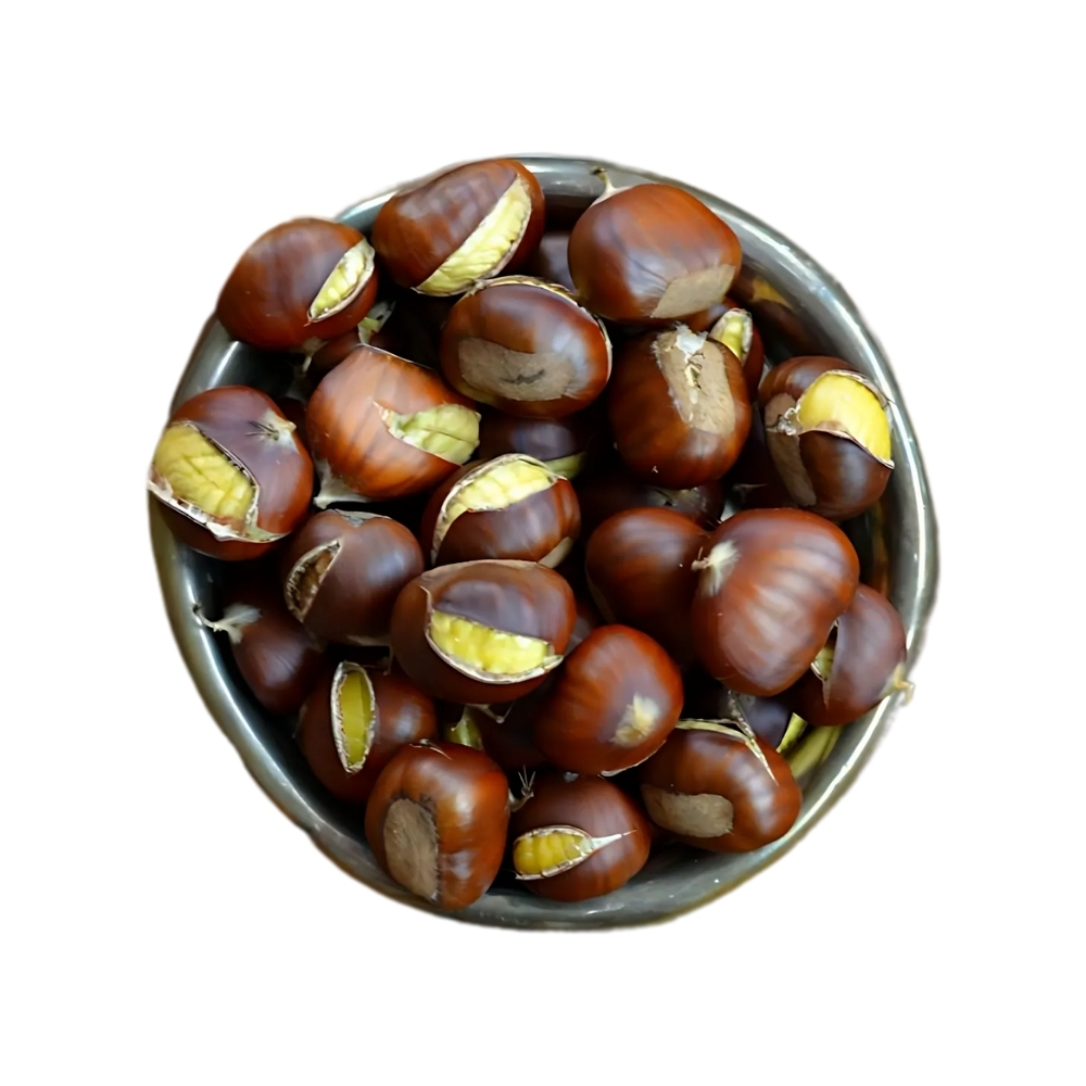 [584356] Marron Semi-Cuit 1 unité