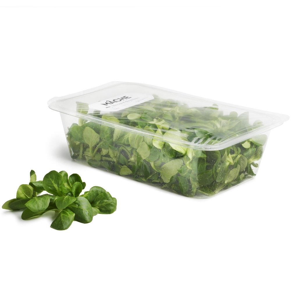 Mâche Barquette 100g