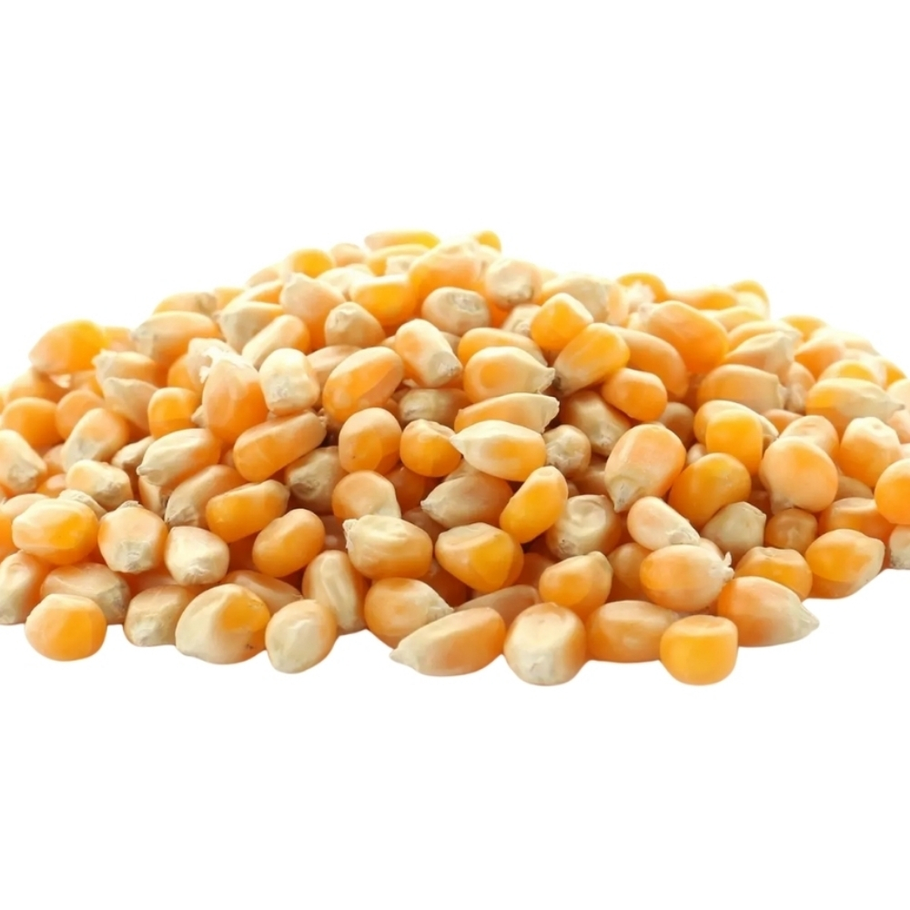 [640504] Maïs 400g