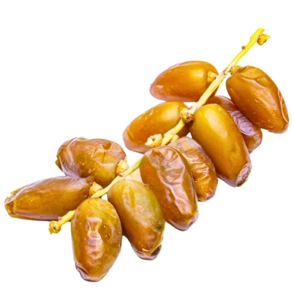 [69862] Dattes Branchées 5kg