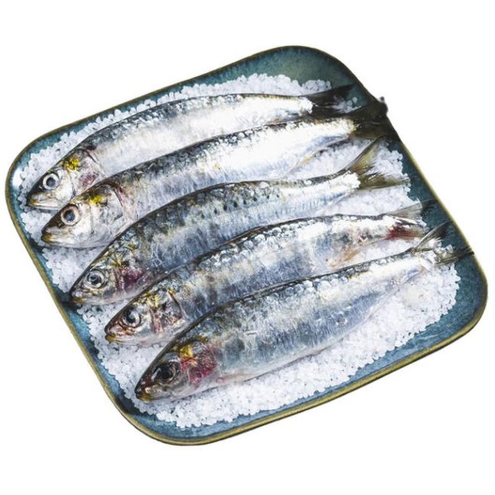 [15241] Sardine au Kg