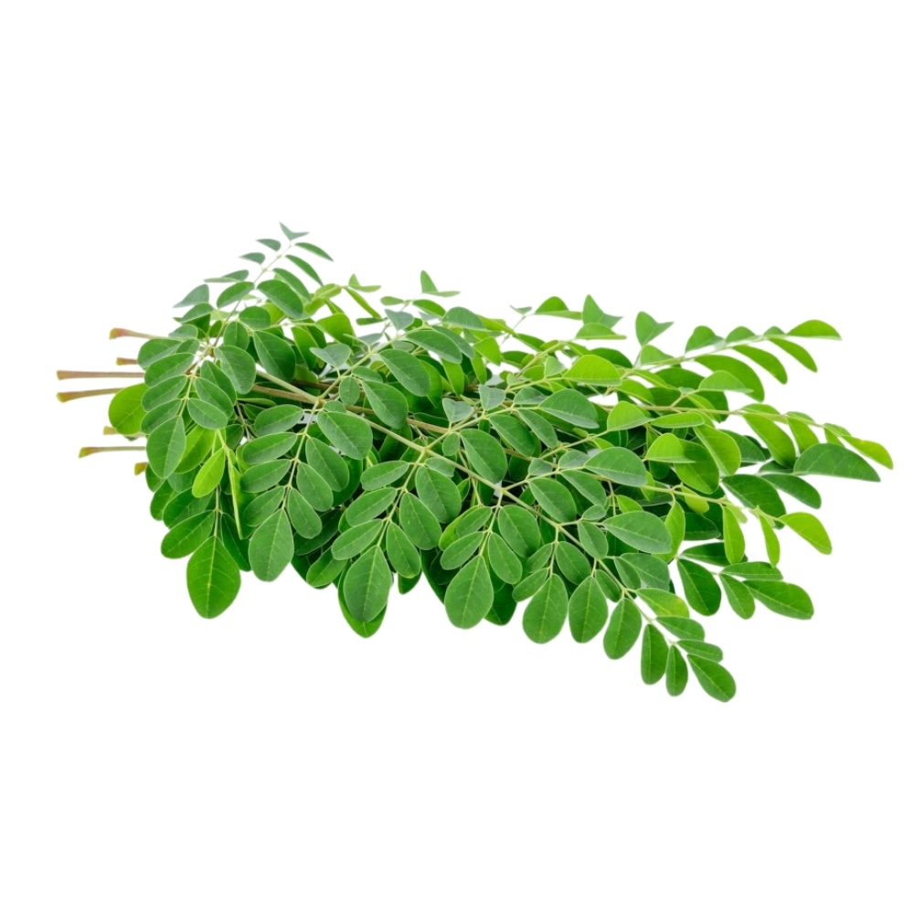 [708262] Moringa Organic 25g
