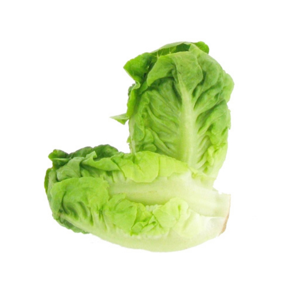 Salade de Sucrine Bio Barquette 250g