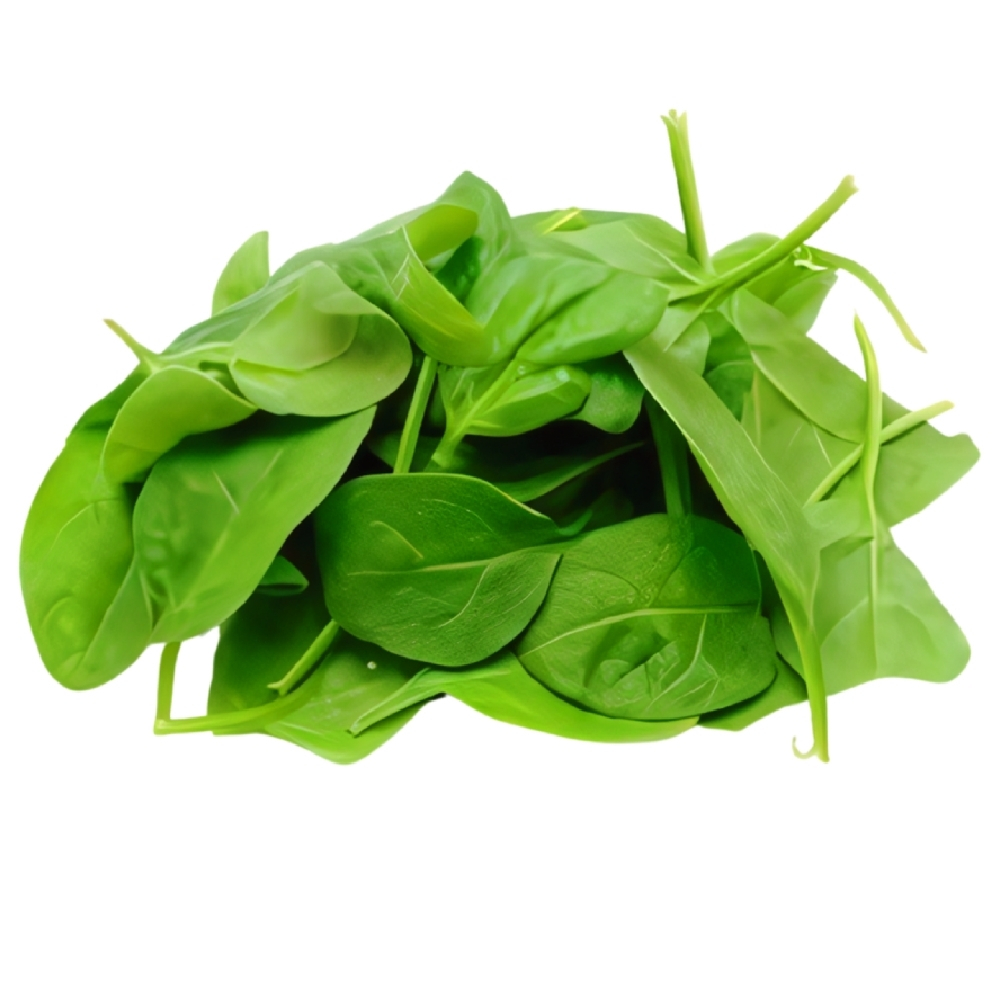 Pousse d'Epinard 125g