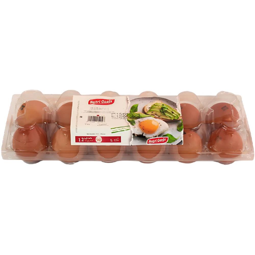 [670148] Oeufs Gros Calibre Ovocorp Boite de 12 unités