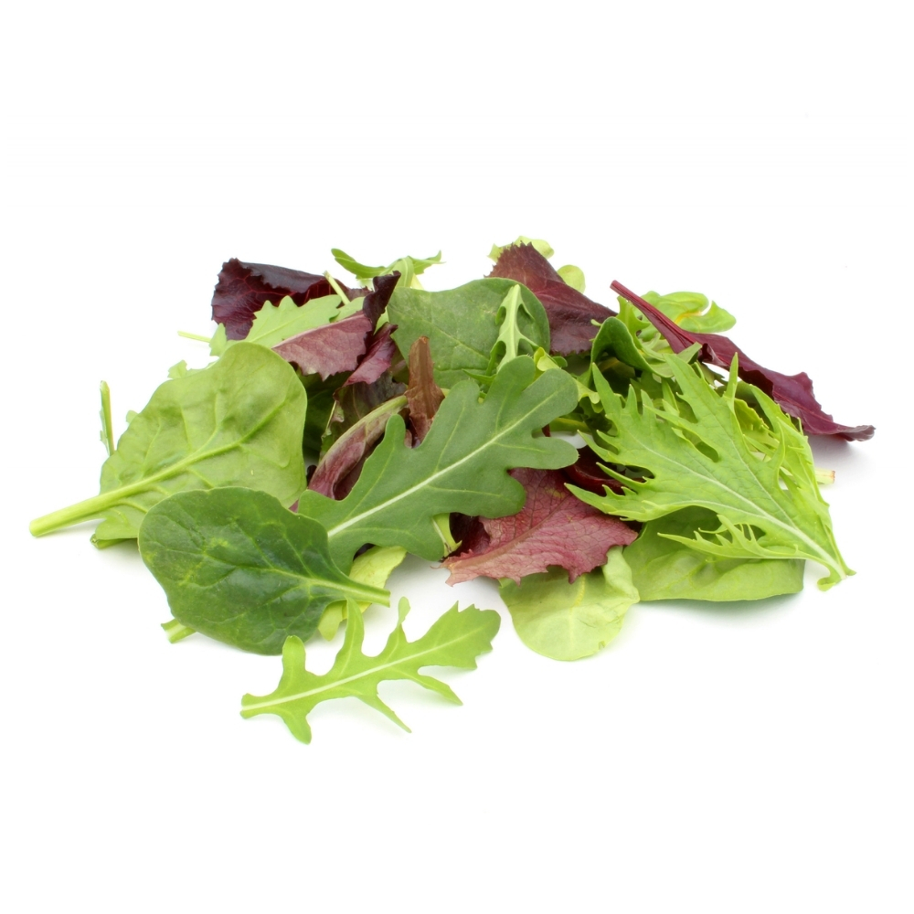 [660709] Jeunes Pousses de Mesclun en Barquette Plastique 130g