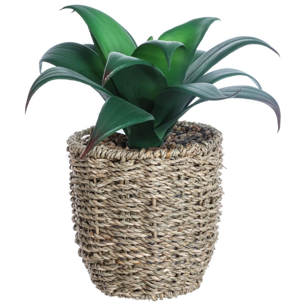 Plante Artificielle avec Pot Tisse Kasa 24 cm