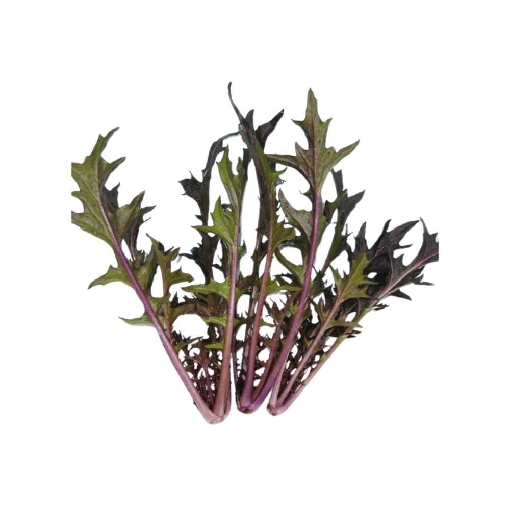 [660718] Jeunes Pousses de Chou Japonais Mizuna Rouge en Barquette 130g