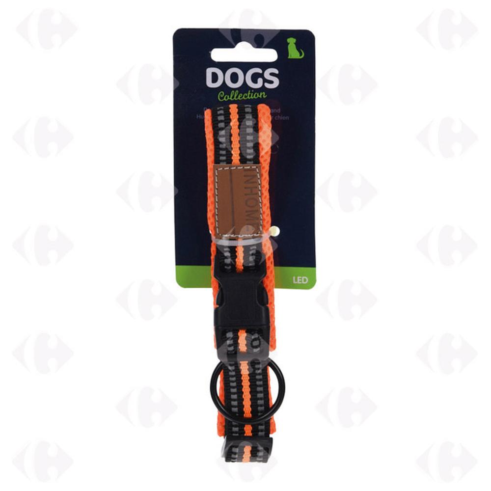Collier pour Chien